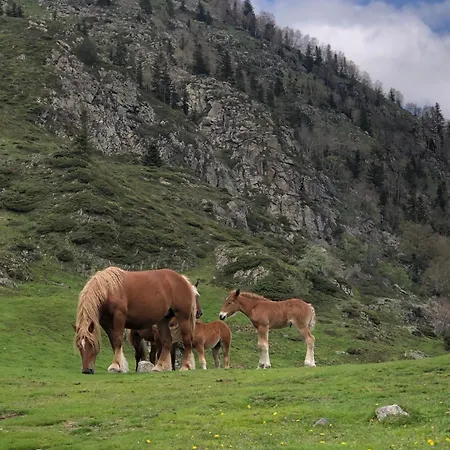 펜션 Ty Ker Pyrenees *