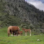 Σπίτι διακοπών Ty Ker Pyrenees *