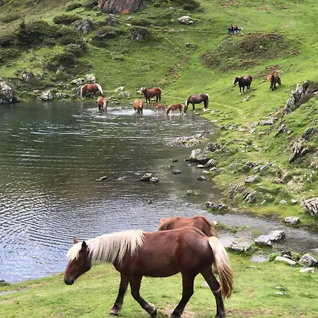 Ty Ker Pyrenees Holiday home Pointis-de-Riviere