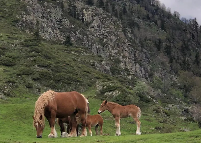 Сasa de vacaciones Ty Ker Pyrénées *
