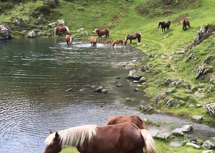 Ty Ker Pyrénées Сasa de vacaciones Pointis-de-Riviere